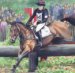 Equestrian (excl. Horse Racing)